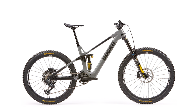 DM-170 RR